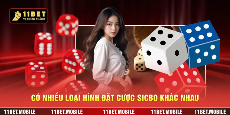 Có nhiều loại hình đặt cược Sicbo khác nhau