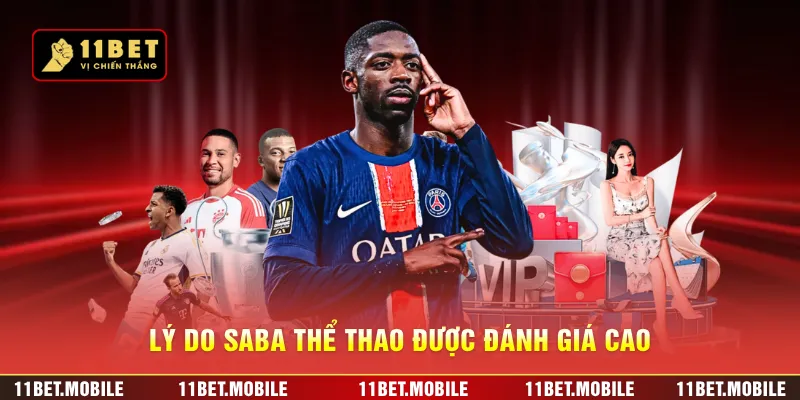 Lý do Saba thể thao được đánh giá cao